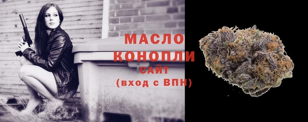 дживик Надым