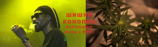 дживик Надым