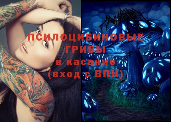 дживик Надым