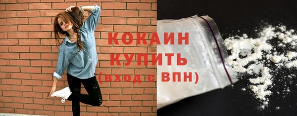 дживик Надым