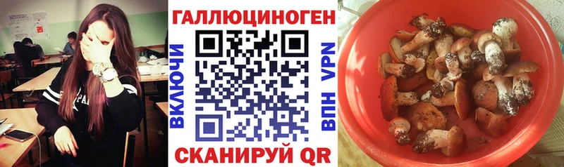 Галлюциногенные грибы Cubensis  сколько стоит  Заполярный 